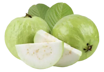 Guava